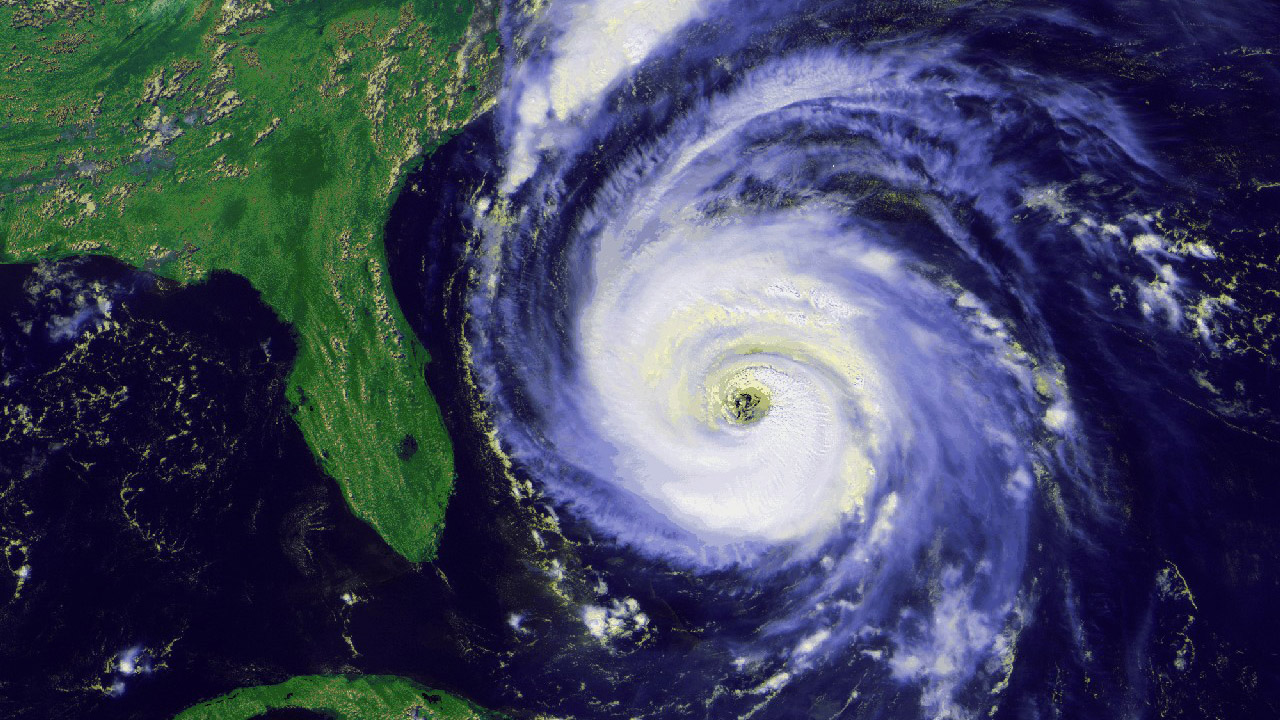 southern-tree-alliance-storm-preperation