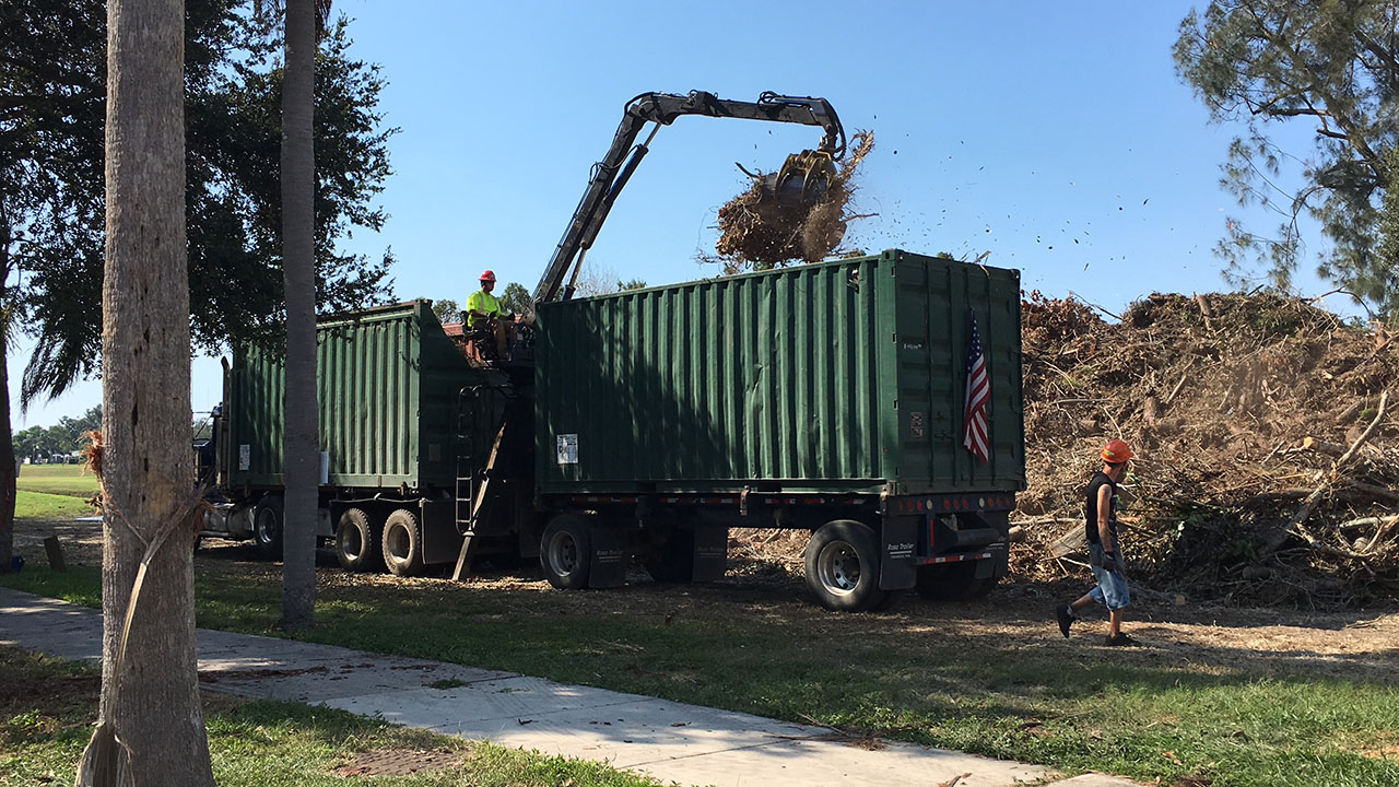 southern-tree-alliance-storm-clean-up