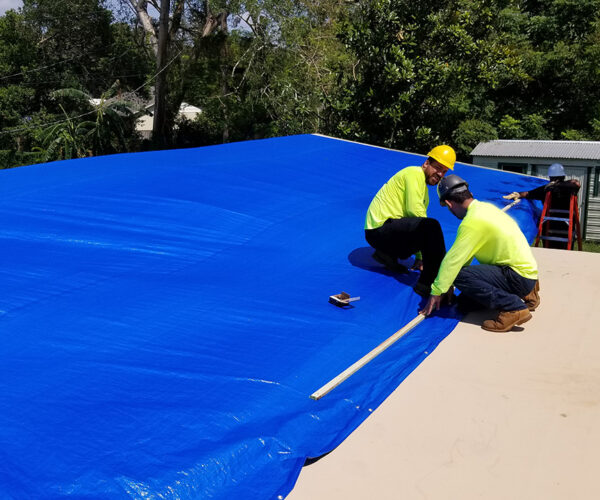 southern-tree-alliance-emergency-tarp-installation